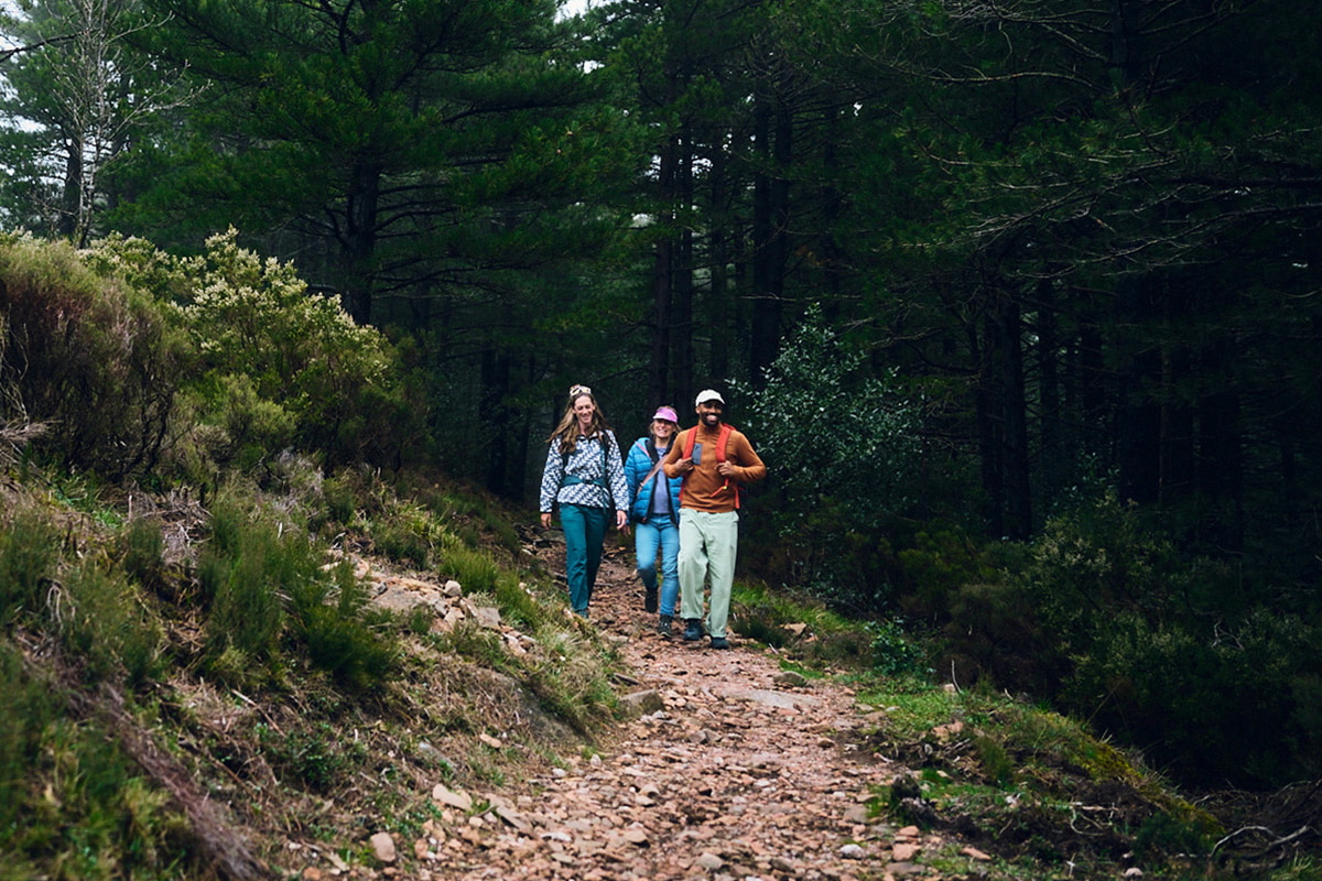 Group hiking on a narrow path in a forest, surrounded by trees and bushes.